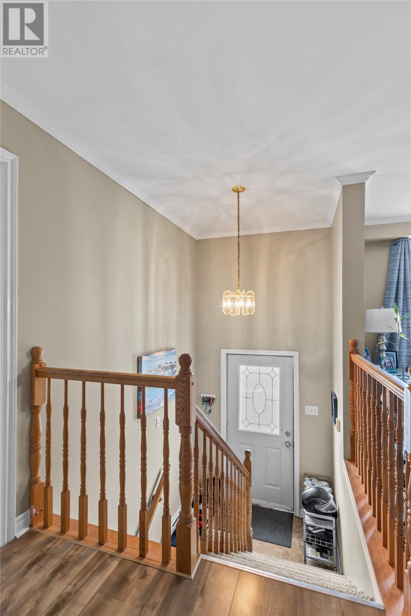 3 Caprea Place, St. John's — photo 5