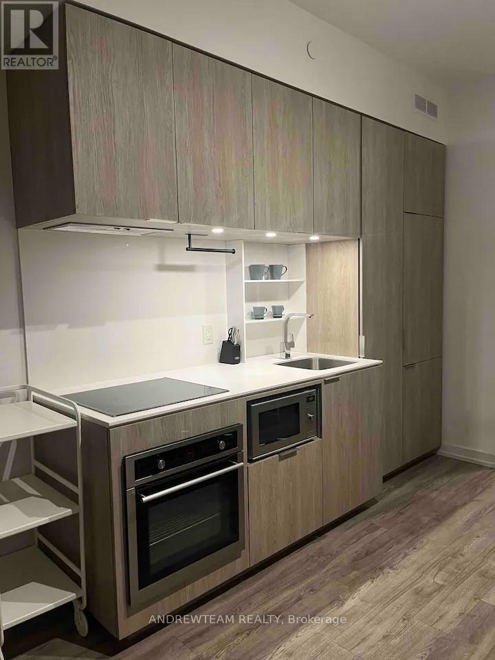 216 - 77 Shuter Street, Toronto, Ontario  M5B 0B8 - Photo 4 - C13734988