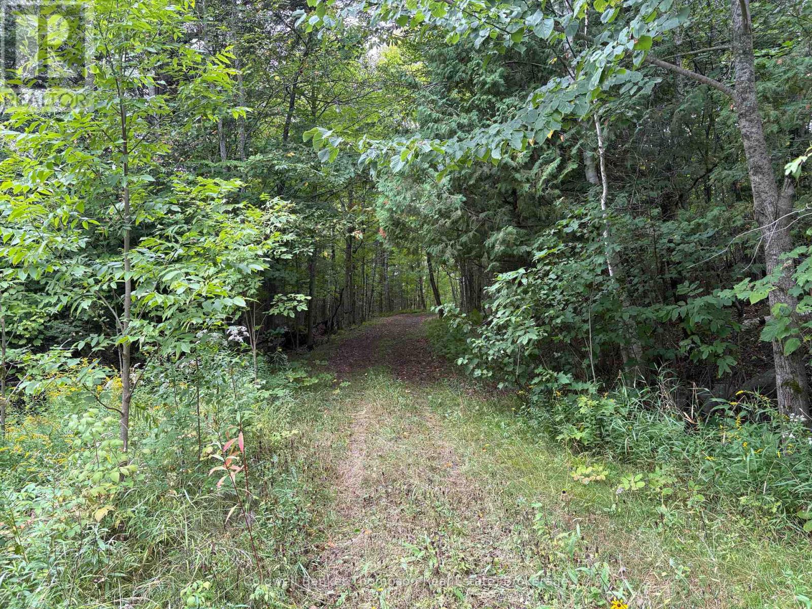 695b Spring Lake Road, Parry Sound Remote Area, Ontario  P0A 1X0 - Photo 31 - X13735134