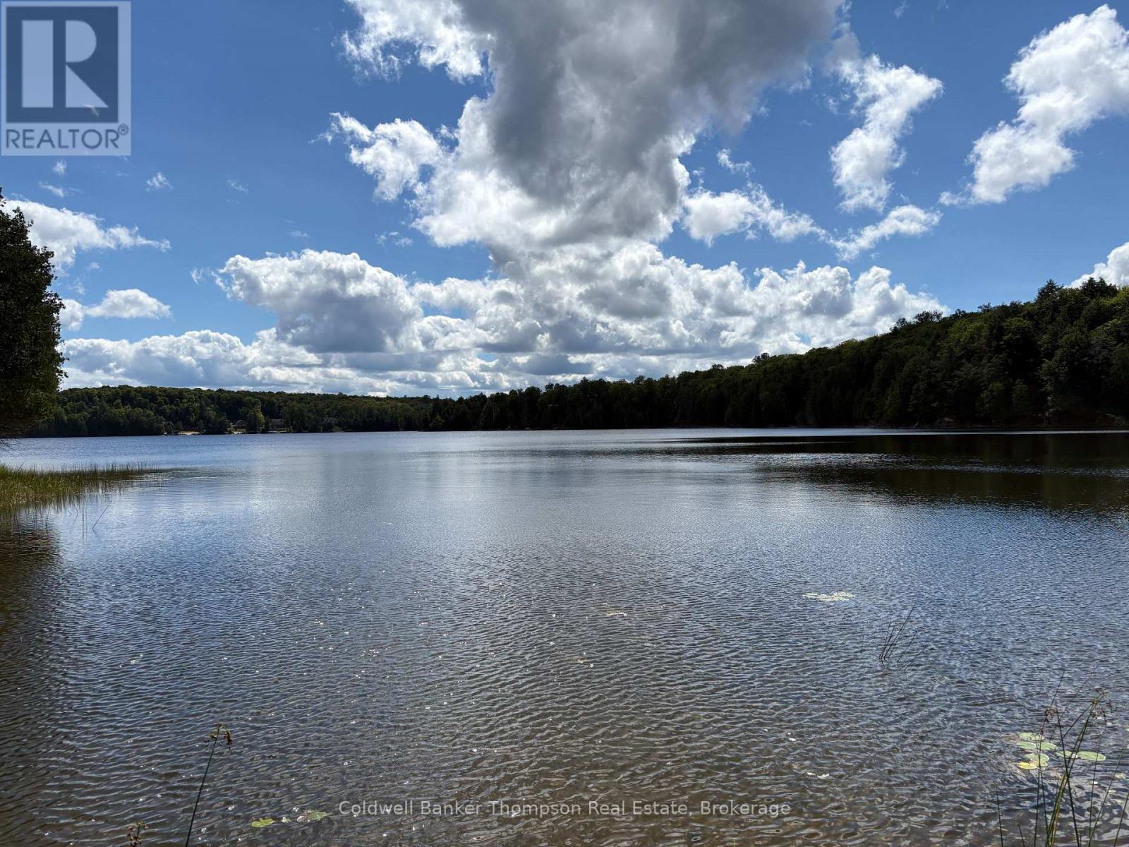 695b Spring Lake Road, Parry Sound Remote Area, Ontario  P0A 1X0 - Photo 6 - X13735134