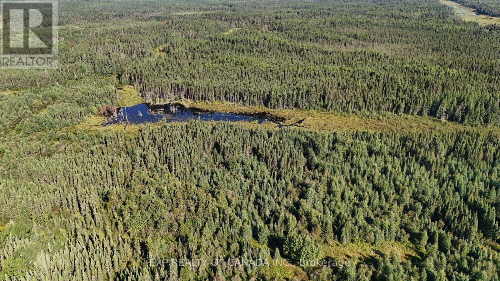 Lt 2 Conc 1 Calder Township, Cochrane, Ontario  P0L 1C0 - Photo 7 - T13735180