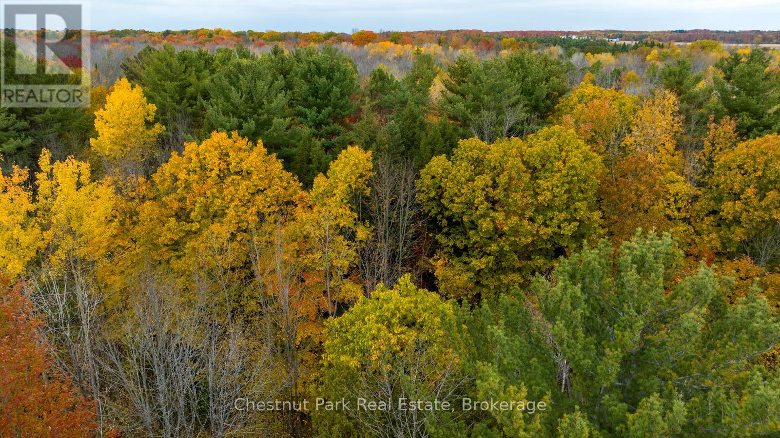 Pt Lt 18 Concession 13 W, Tiny, Ontario  L0L 2J0 - Photo 14 - S13735722