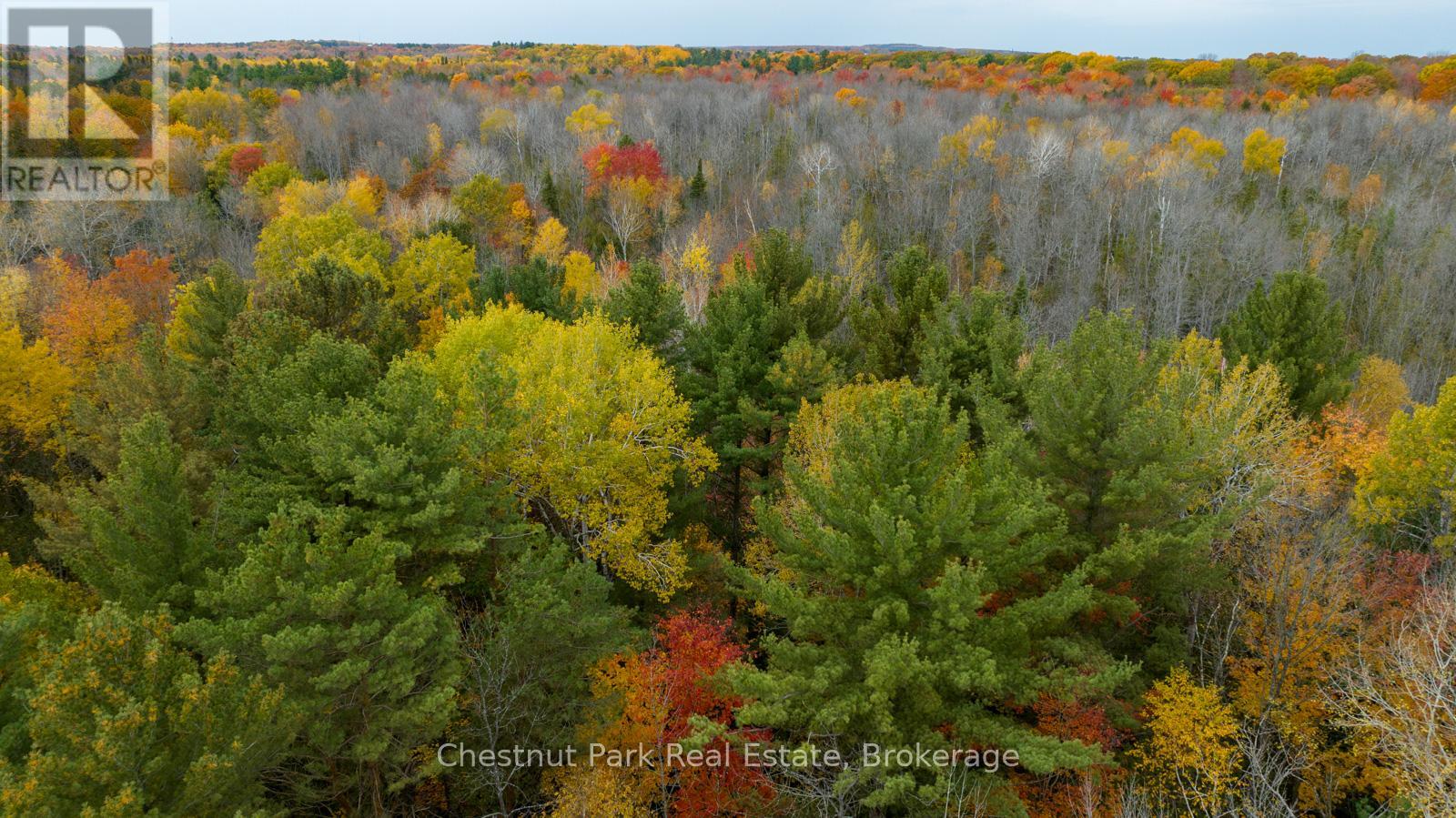 Pt Lt 18 Concession 13 W, Tiny, Ontario  L0L 2J0 - Photo 15 - S13735722
