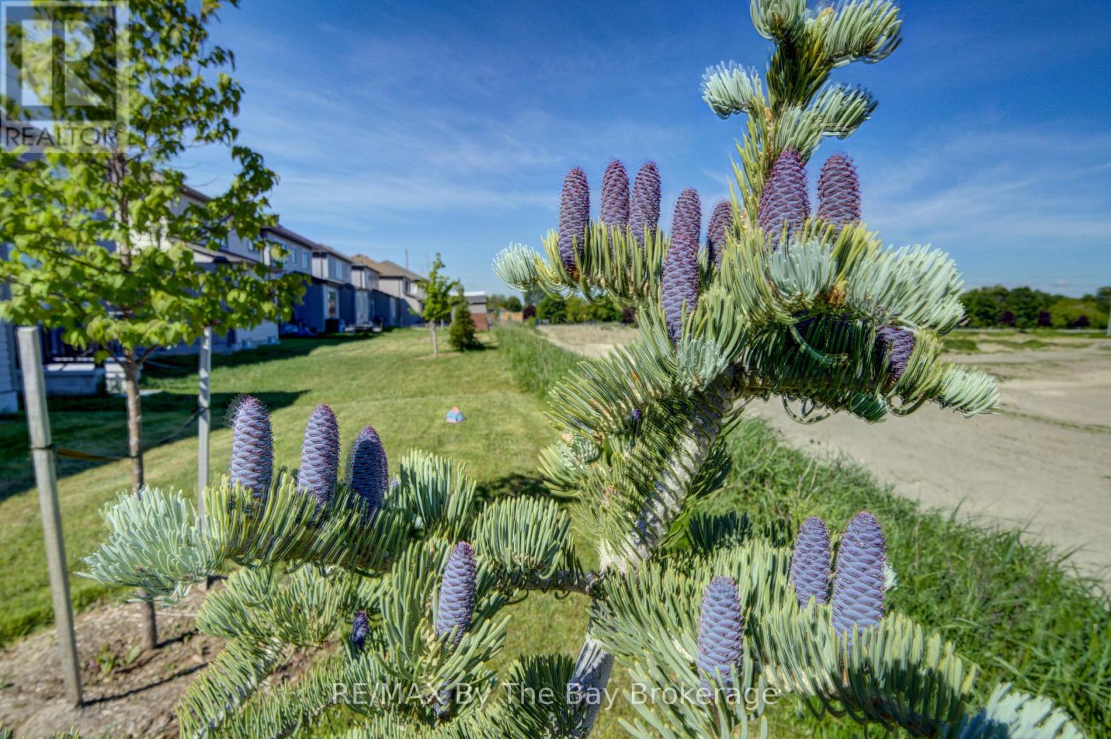 15 Union Boulevard, Wasaga Beach, Ontario  L9Z 0M6 - Photo 40 - S13735822