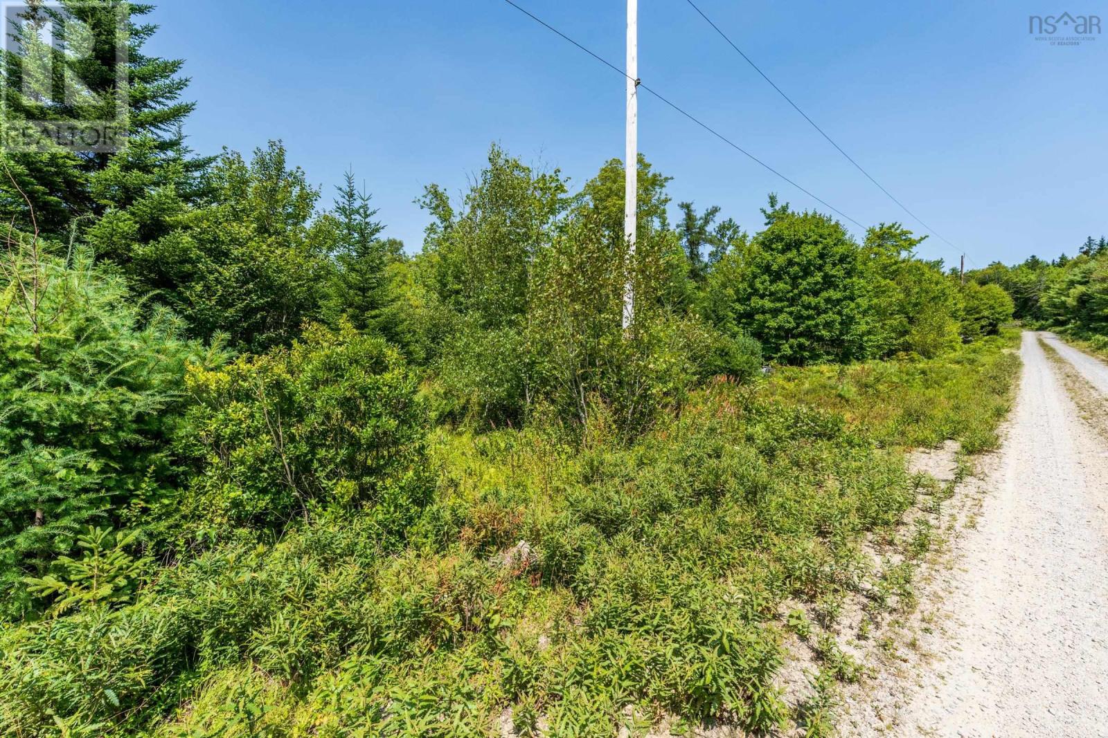 Lot 4 Maple Leaf Drive, East Canaan, Nova Scotia  B0W 3M0 - Photo 20 - 202601863