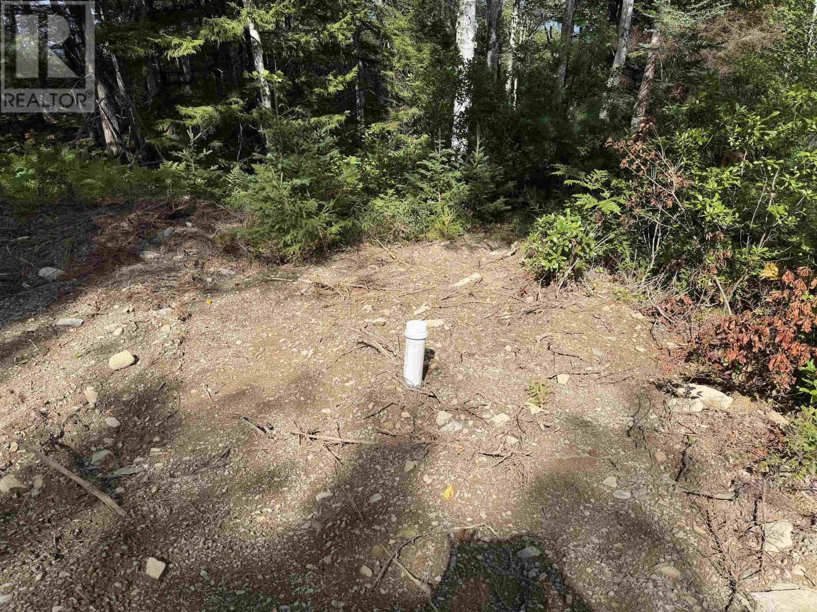 Lot 4 Maple Leaf Drive, East Canaan, Nova Scotia  B0W 3M0 - Photo 15 - 202601863