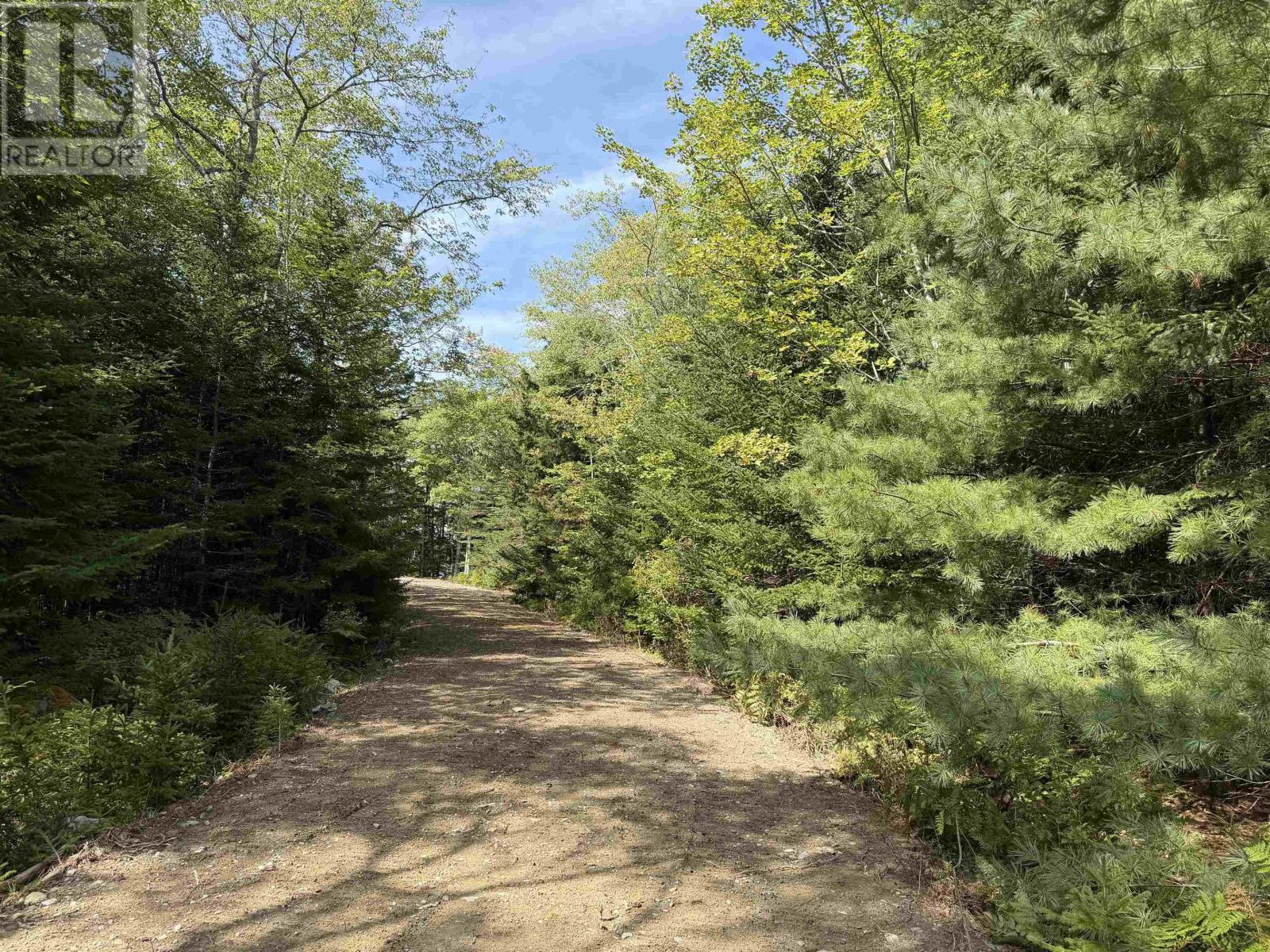 Lot 4 Maple Leaf Drive, East Canaan, Nova Scotia  B0W 3M0 - Photo 12 - 202601863