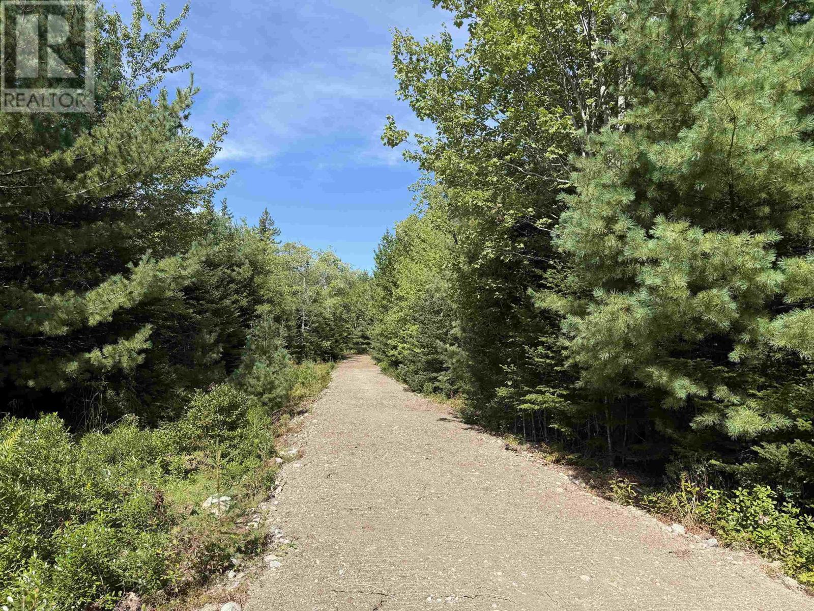 Lot 4 Maple Leaf Drive, East Canaan, Nova Scotia  B0W 3M0 - Photo 11 - 202601863