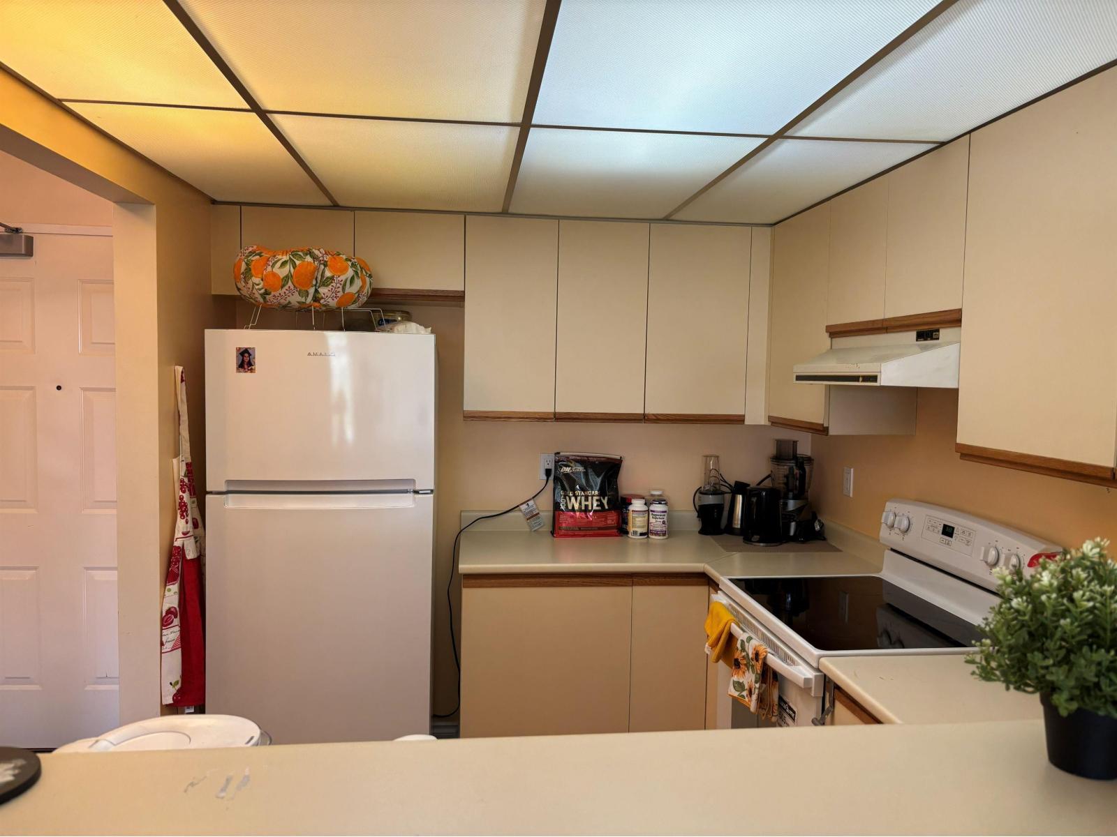 301 1280 Fir Street, White Rock, British Columbia  V4B 4B1 - Photo 8 - R3160758