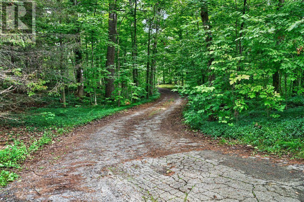 237 Old River Road, Leeds And The Thousand Islands, Ontario  K0E 1R0 - Photo 39 - X13736104