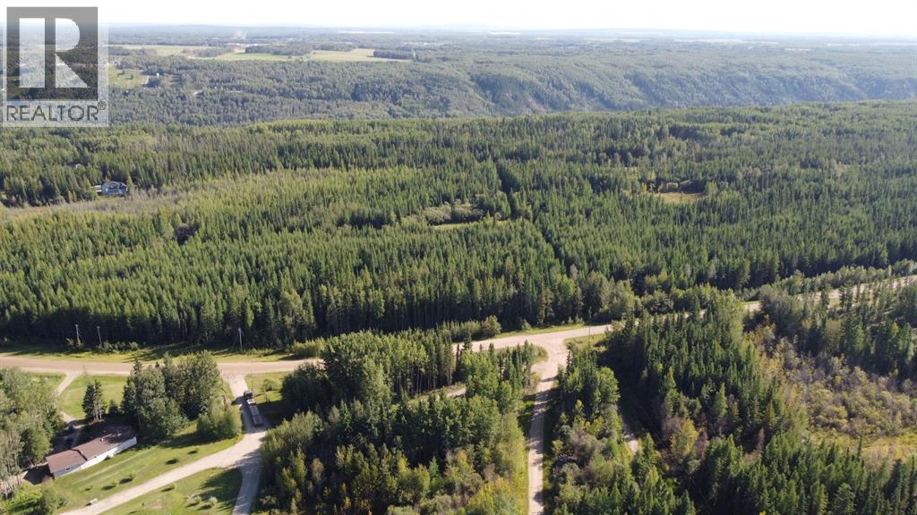 703a Township, Rural Grande Prairie No. 1, Alberta  T8W 5K1 - Photo 1 - A2289971