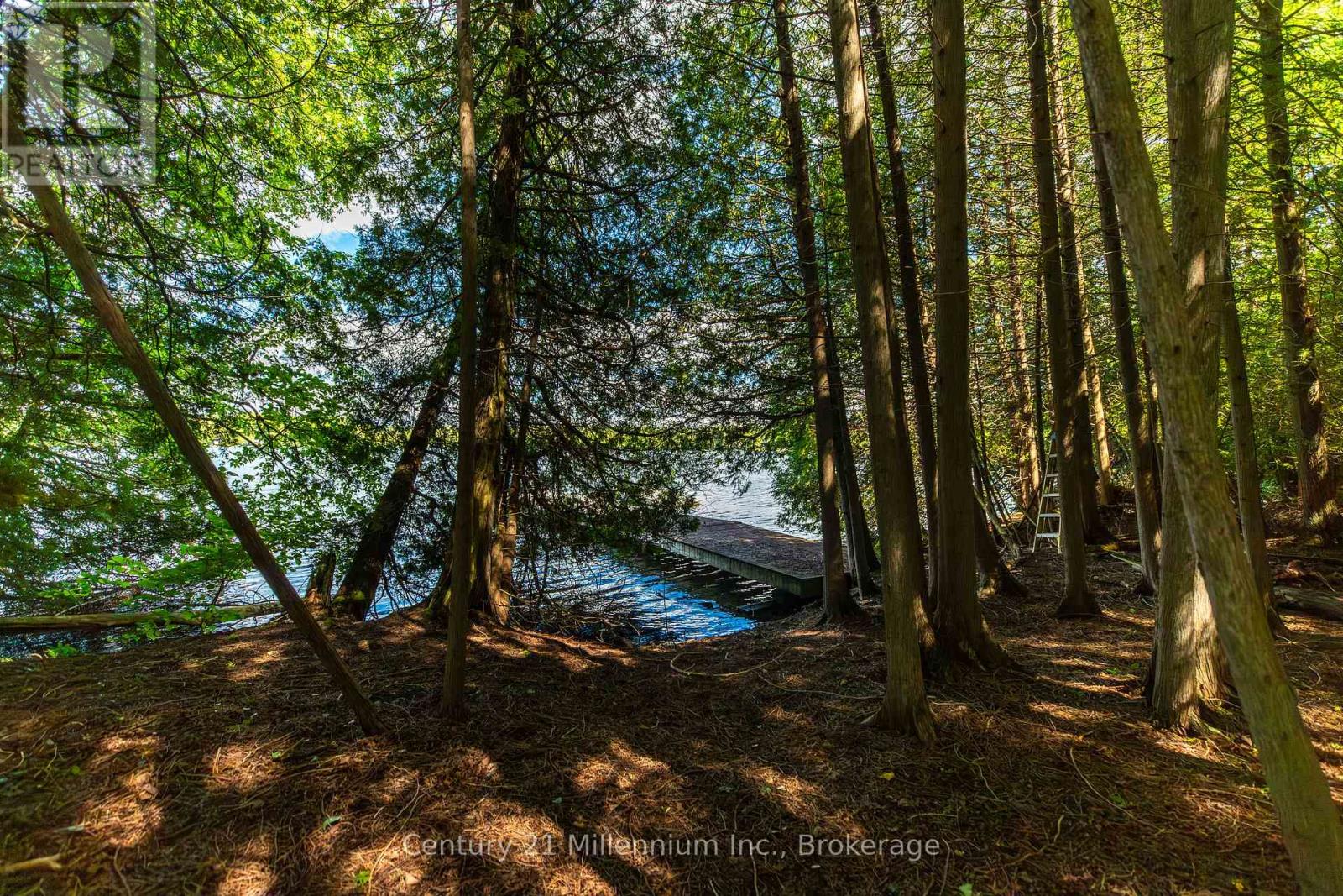 425005 Irish Lake Road, Grey Highlands, Ontario  N0C 1H0 - Photo 11 - X13736010
