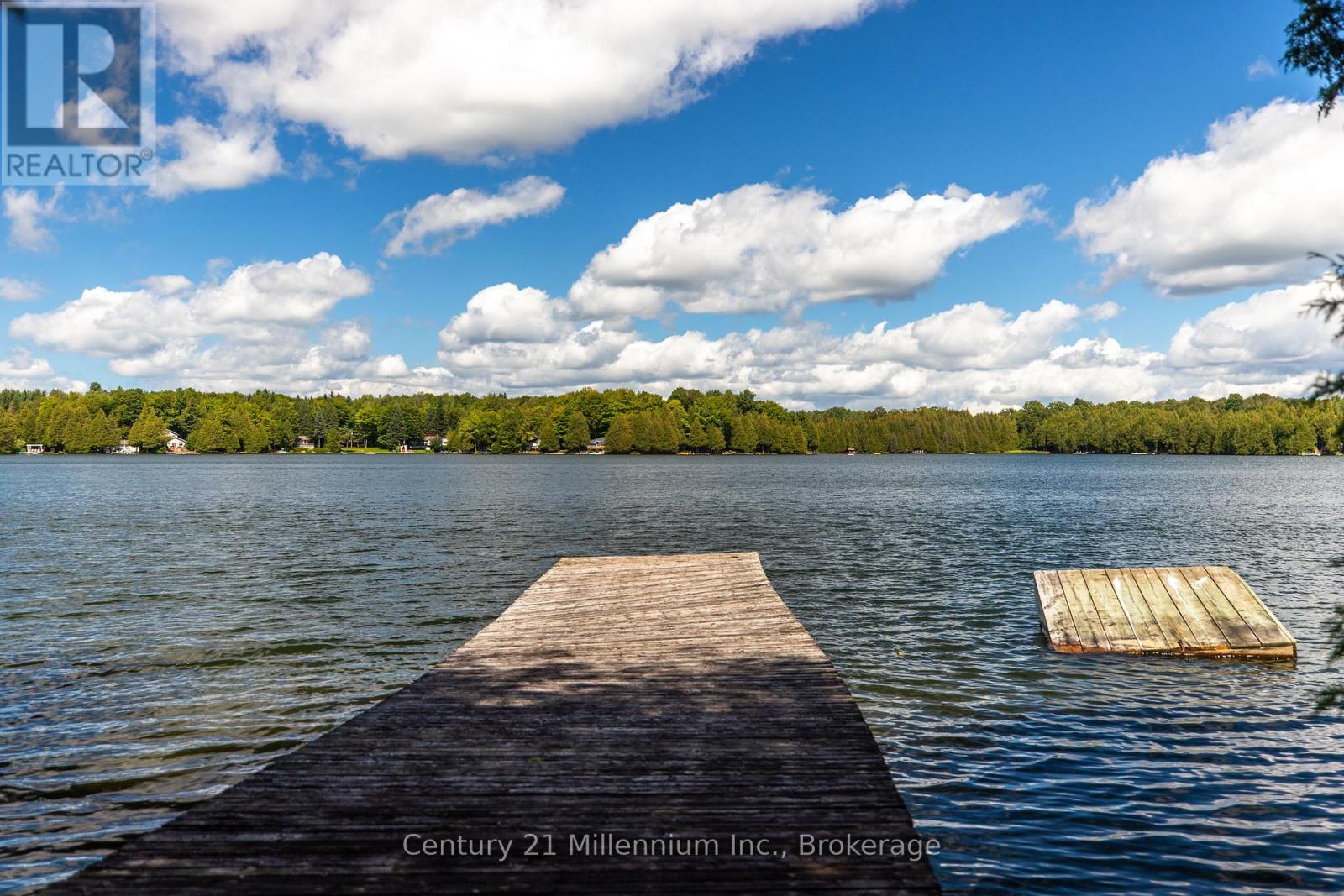 425005 Irish Lake Road, Grey Highlands, Ontario  N0C 1H0 - Photo 15 - X13736010