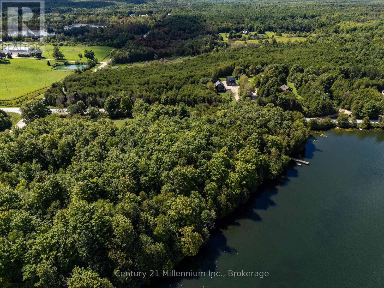 425005 Irish Lake Road, Grey Highlands, Ontario  N0C 1H0 - Photo 7 - X13736010