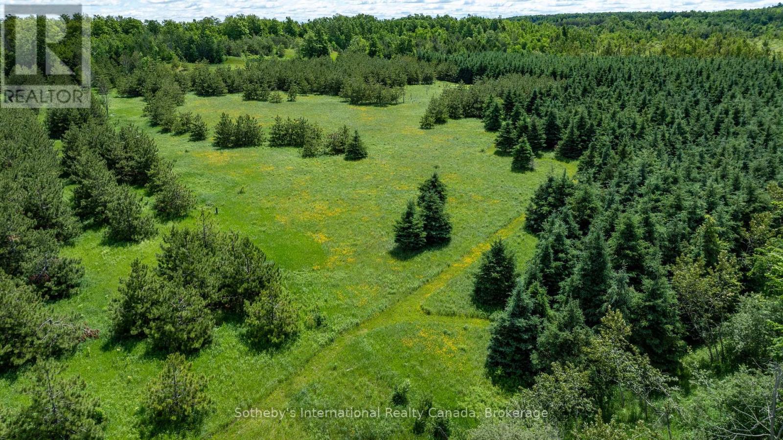 Lot 14 Con 2 1st Line E Ehs, Mulmur, Ontario  L9V 0G2 - Photo 10 - X13736070