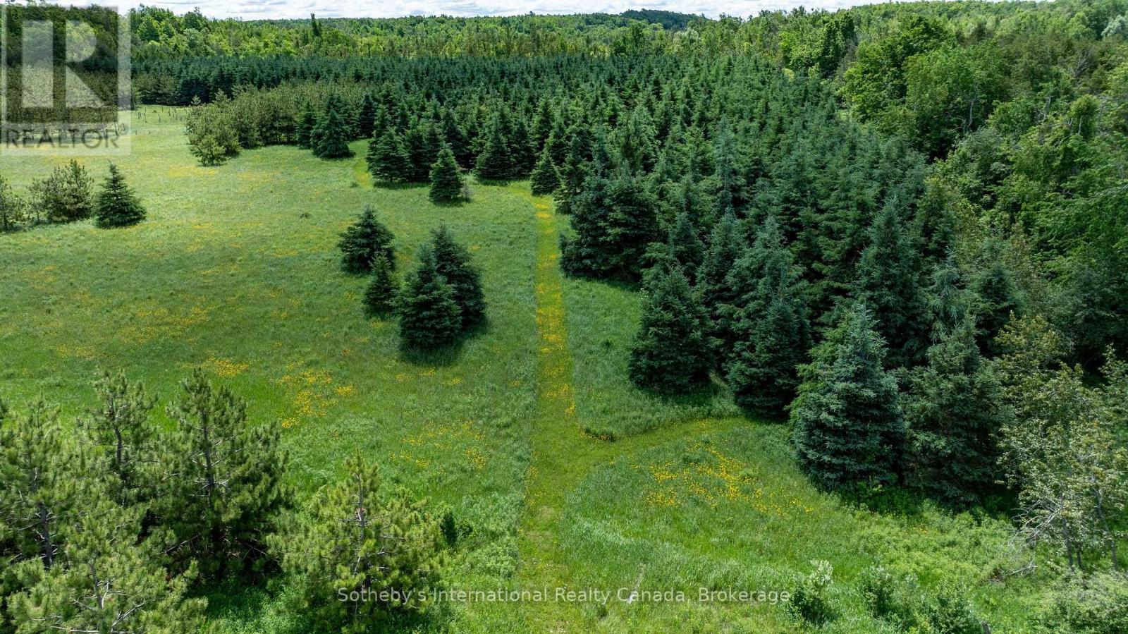 Lot 14 Con 2 1st Line E Ehs, Mulmur, Ontario  L9V 0G2 - Photo 11 - X13736070