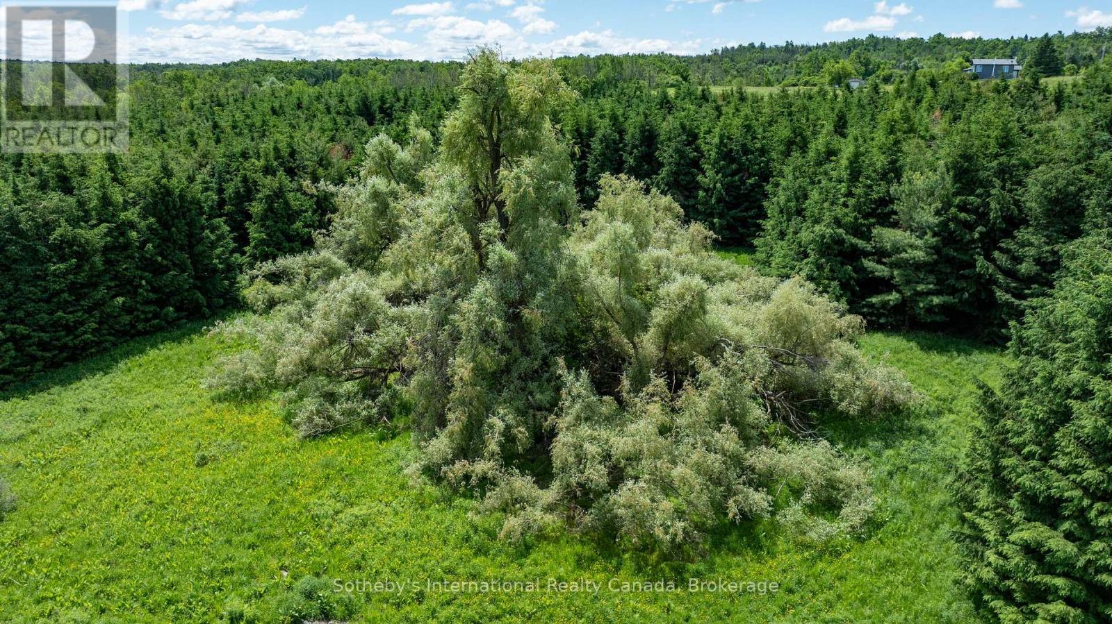 Lot 14 Con 2 1st Line E Ehs, Mulmur, Ontario  L9V 0G2 - Photo 18 - X13736070