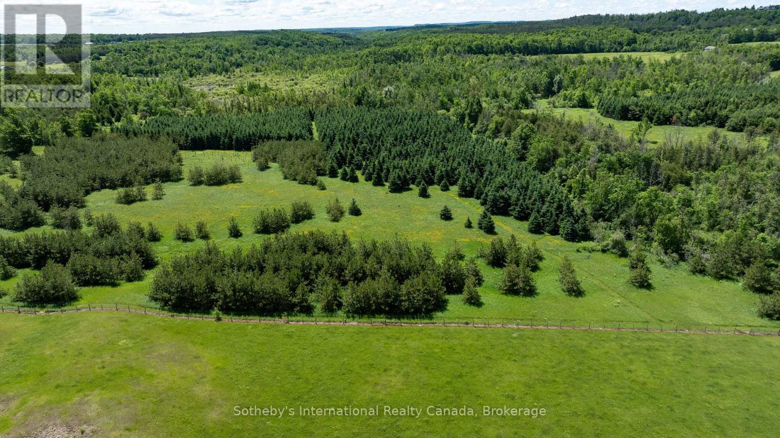 Lot 14 Con 2 1st Line E Ehs, Mulmur, Ontario  L9V 0G2 - Photo 21 - X13736070