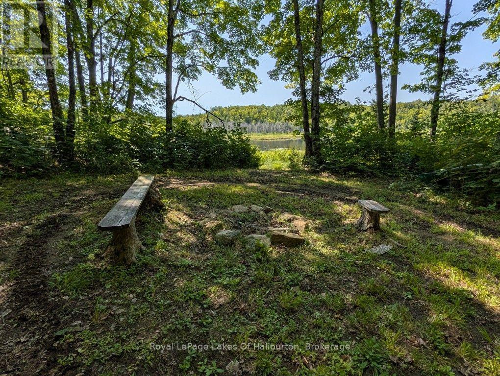 9842 Highway 35, Minden Hills, Ontario  K0M 2L1 - Photo 10 - X13736156