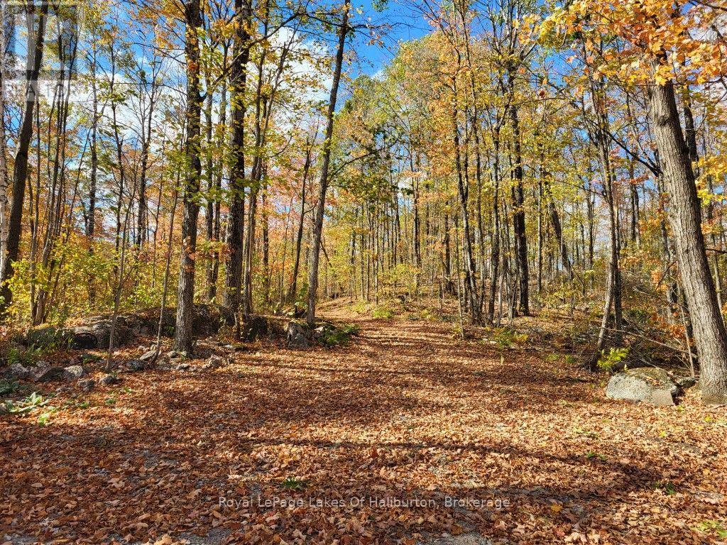 9842 Highway 35, Minden Hills, Ontario  K0M 2L1 - Photo 12 - X13736156