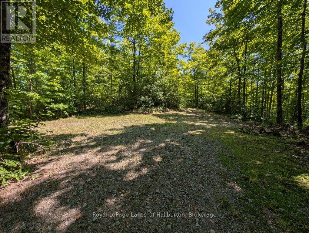 9842 Highway 35, Minden Hills, Ontario  K0M 2L1 - Photo 13 - X13736156
