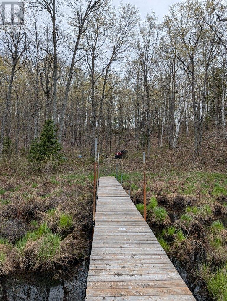 9842 Highway 35, Minden Hills, Ontario  K0M 2L1 - Photo 17 - X13736156