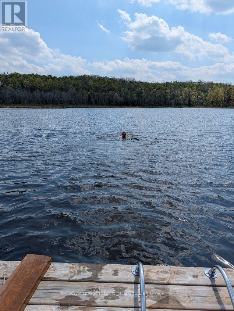 9842 Highway 35, Minden Hills, Ontario  K0M 2L1 - Photo 18 - X13736156
