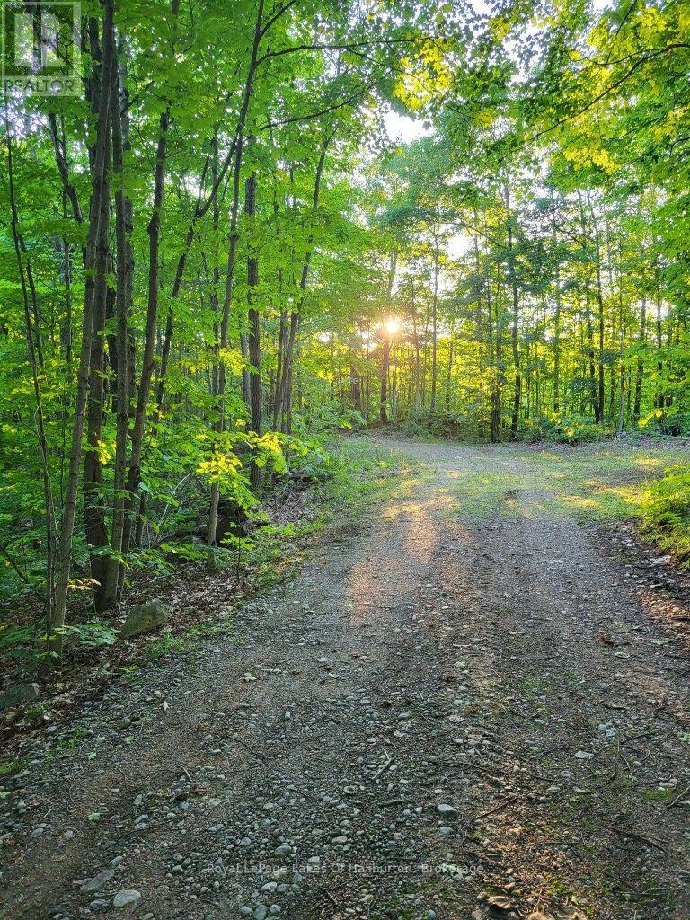 9842 Highway 35, Minden Hills, Ontario  K0M 2L1 - Photo 22 - X13736156