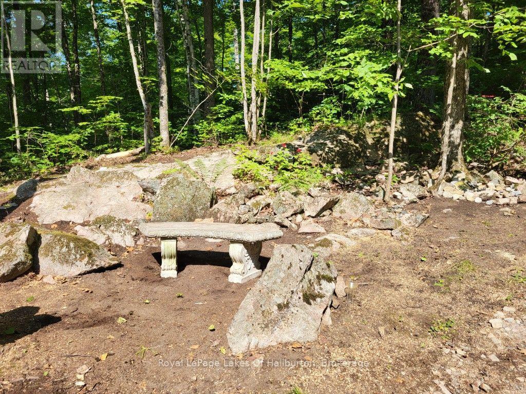 9842 Highway 35, Minden Hills, Ontario  K0M 2L1 - Photo 24 - X13736156