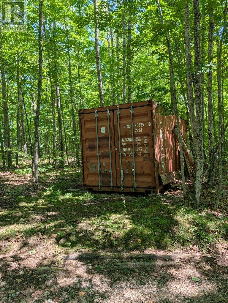 9842 Highway 35, Minden Hills, Ontario  K0M 2L1 - Photo 26 - X13736156