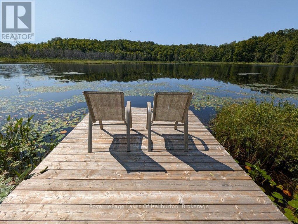 9842 Highway 35, Minden Hills, Ontario  K0M 2L1 - Photo 28 - X13736156