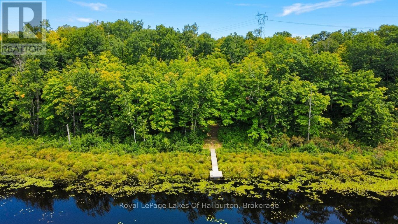 9842 Highway 35, Minden Hills, Ontario  K0M 2L1 - Photo 31 - X13736156