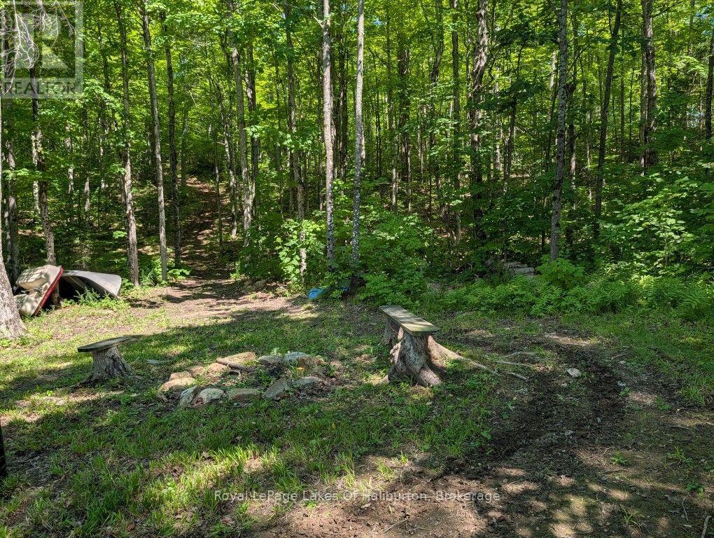 9842 Highway 35, Minden Hills, Ontario  K0M 2L1 - Photo 32 - X13736156