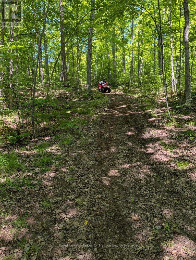 9842 Highway 35, Minden Hills, Ontario  K0M 2L1 - Photo 33 - X13736156
