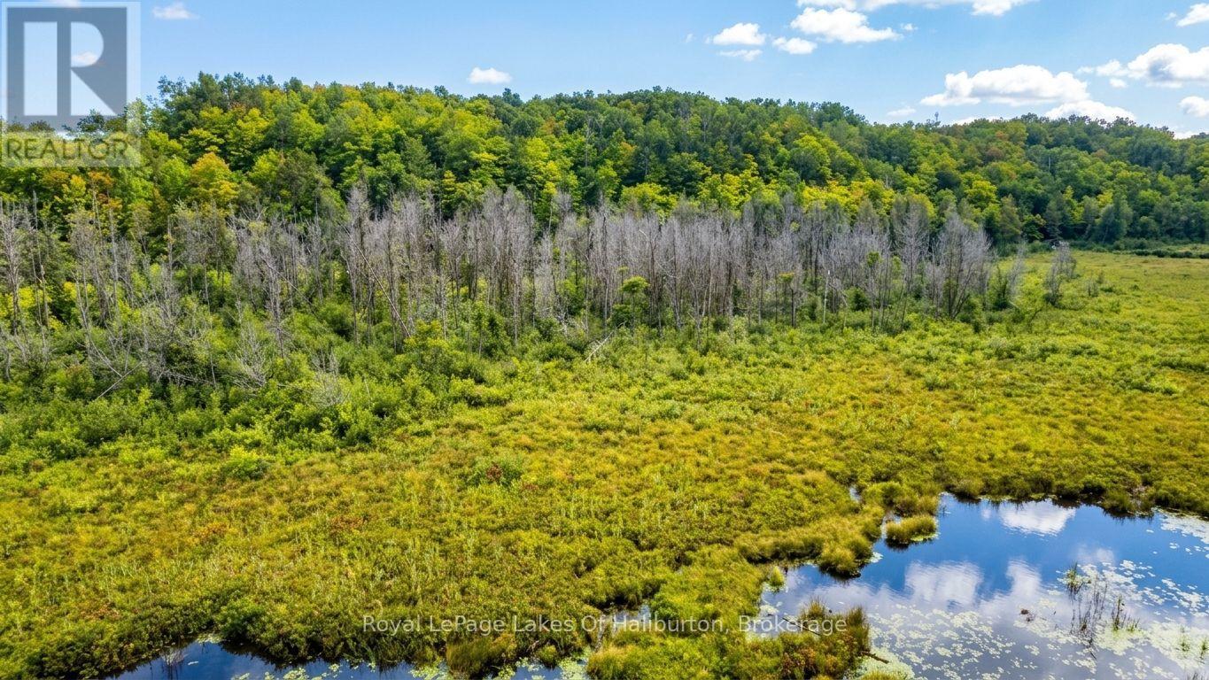 9842 Highway 35, Minden Hills, Ontario  K0M 2L1 - Photo 36 - X13736156