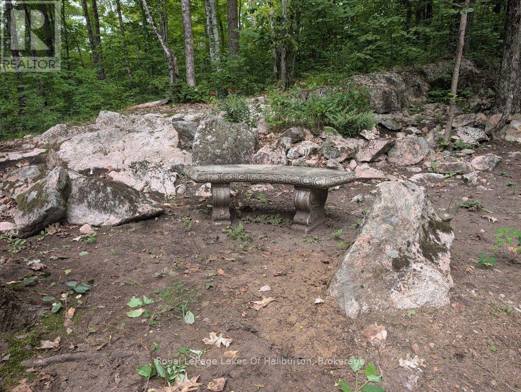 9842 Highway 35, Minden Hills, Ontario  K0M 2L1 - Photo 37 - X13736156