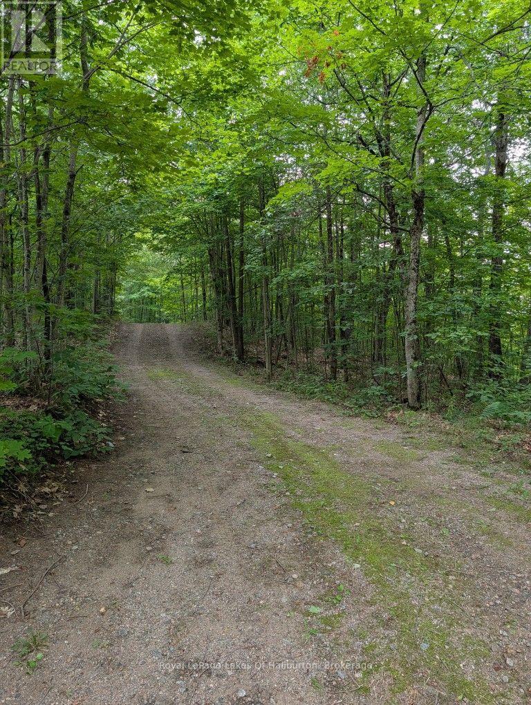 9842 Highway 35, Minden Hills, Ontario  K0M 2L1 - Photo 39 - X13736156