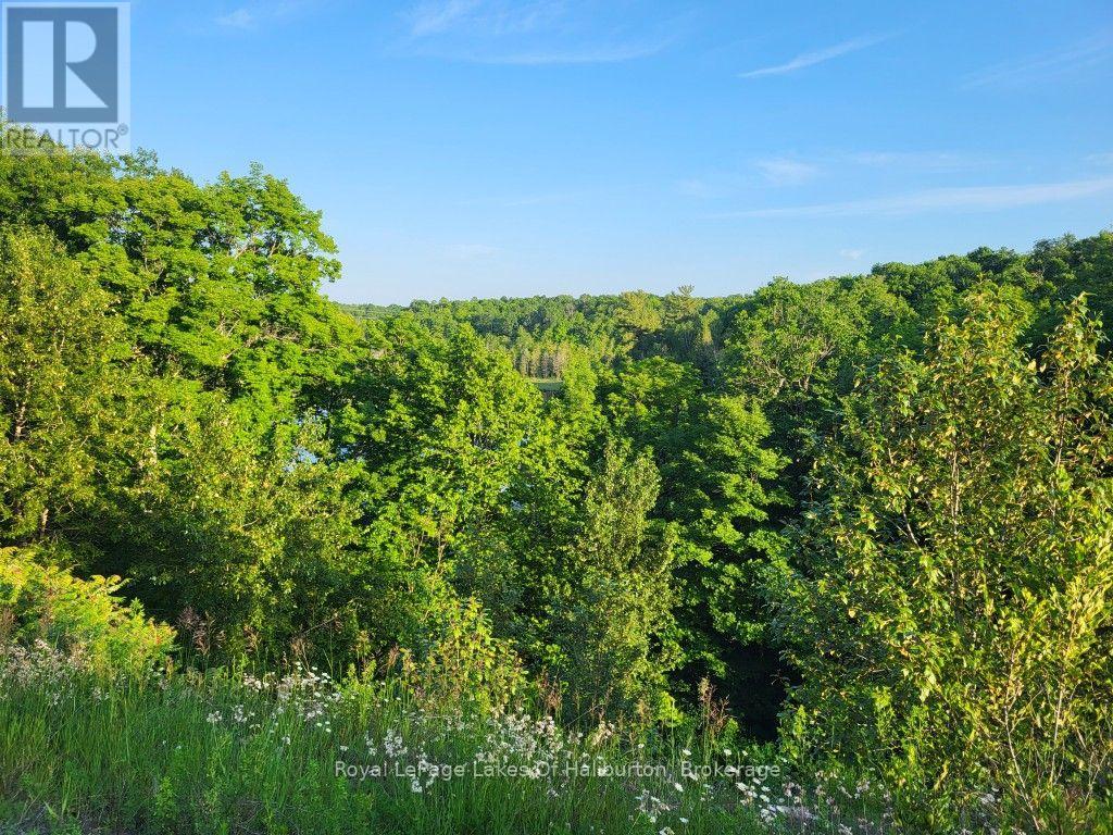 9842 Highway 35, Minden Hills, Ontario  K0M 2L1 - Photo 40 - X13736156