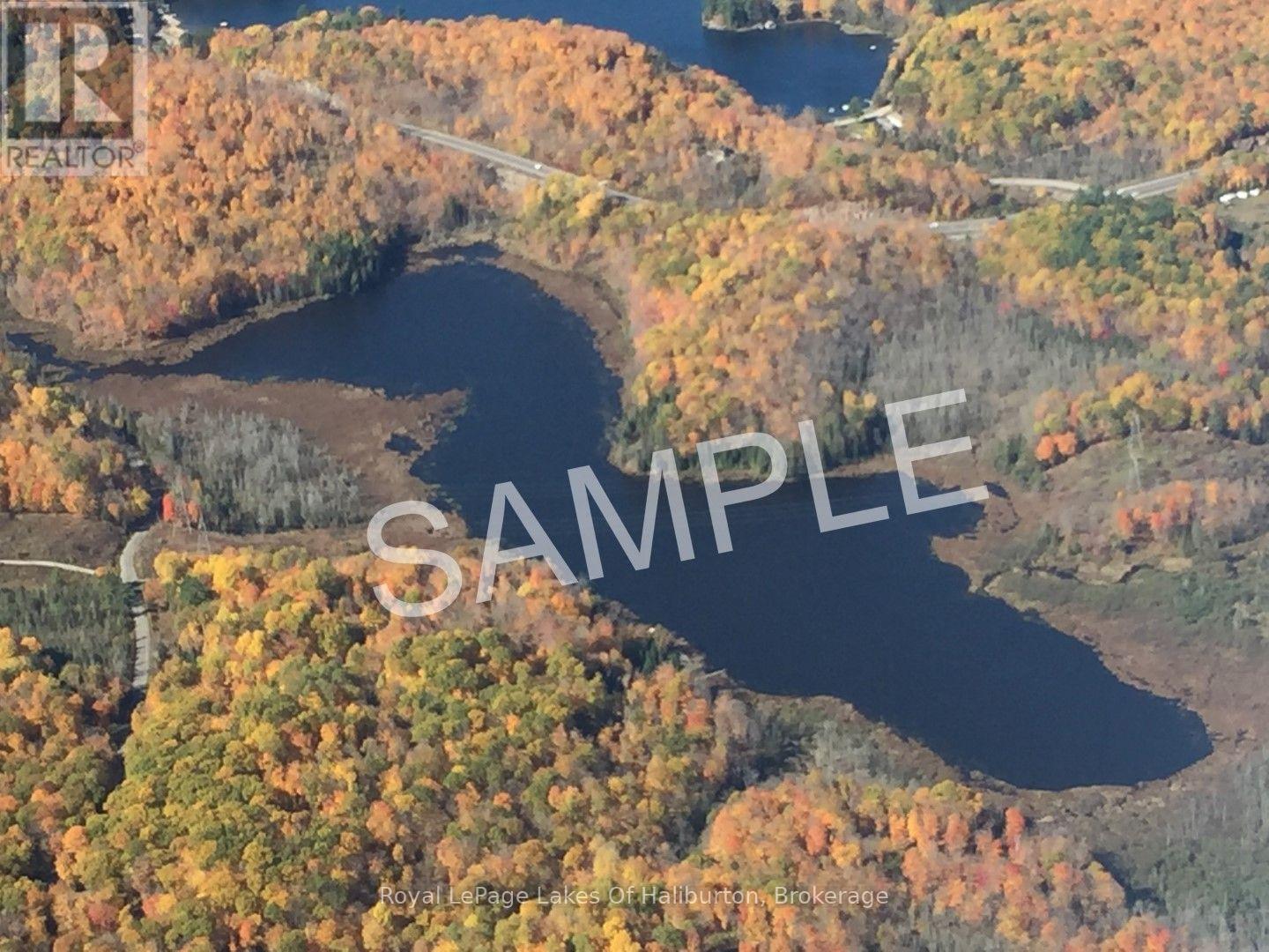 9842 Highway 35, Minden Hills, Ontario  K0M 2L1 - Photo 42 - X13736156