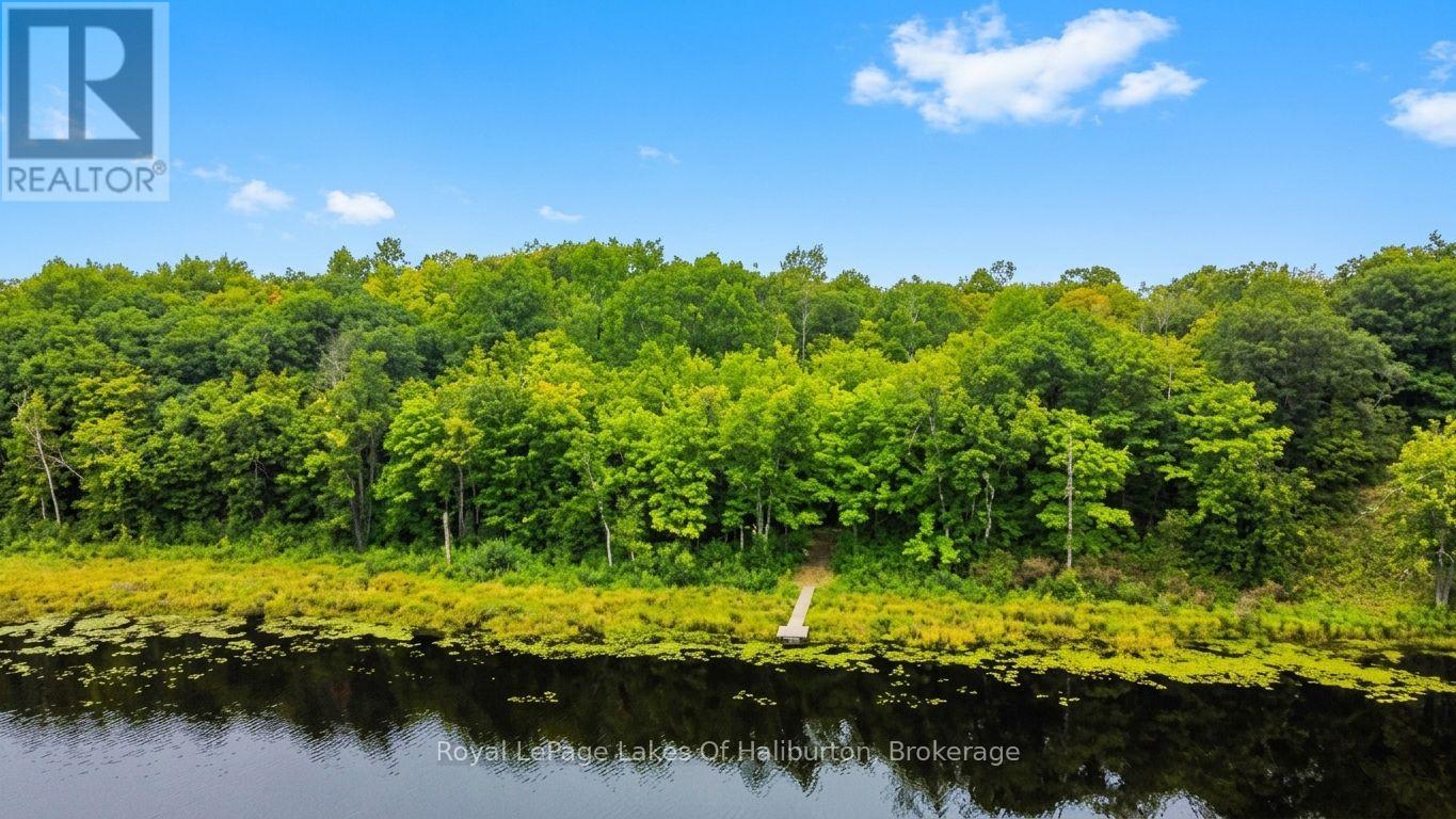 9842 Highway 35, Minden Hills, Ontario  K0M 2L1 - Photo 6 - X13736156