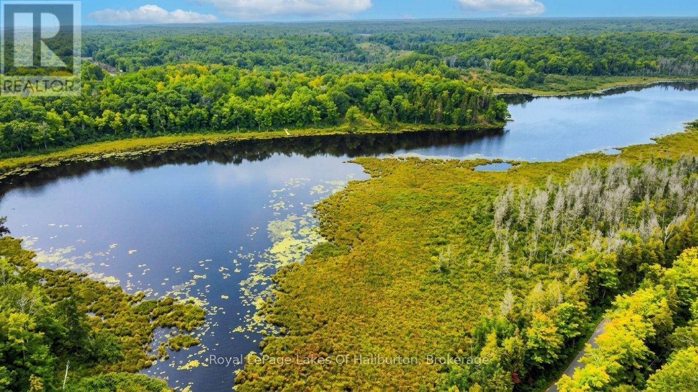 9842 Highway 35, Minden Hills, Ontario  K0M 2L1 - Photo 7 - X13736156