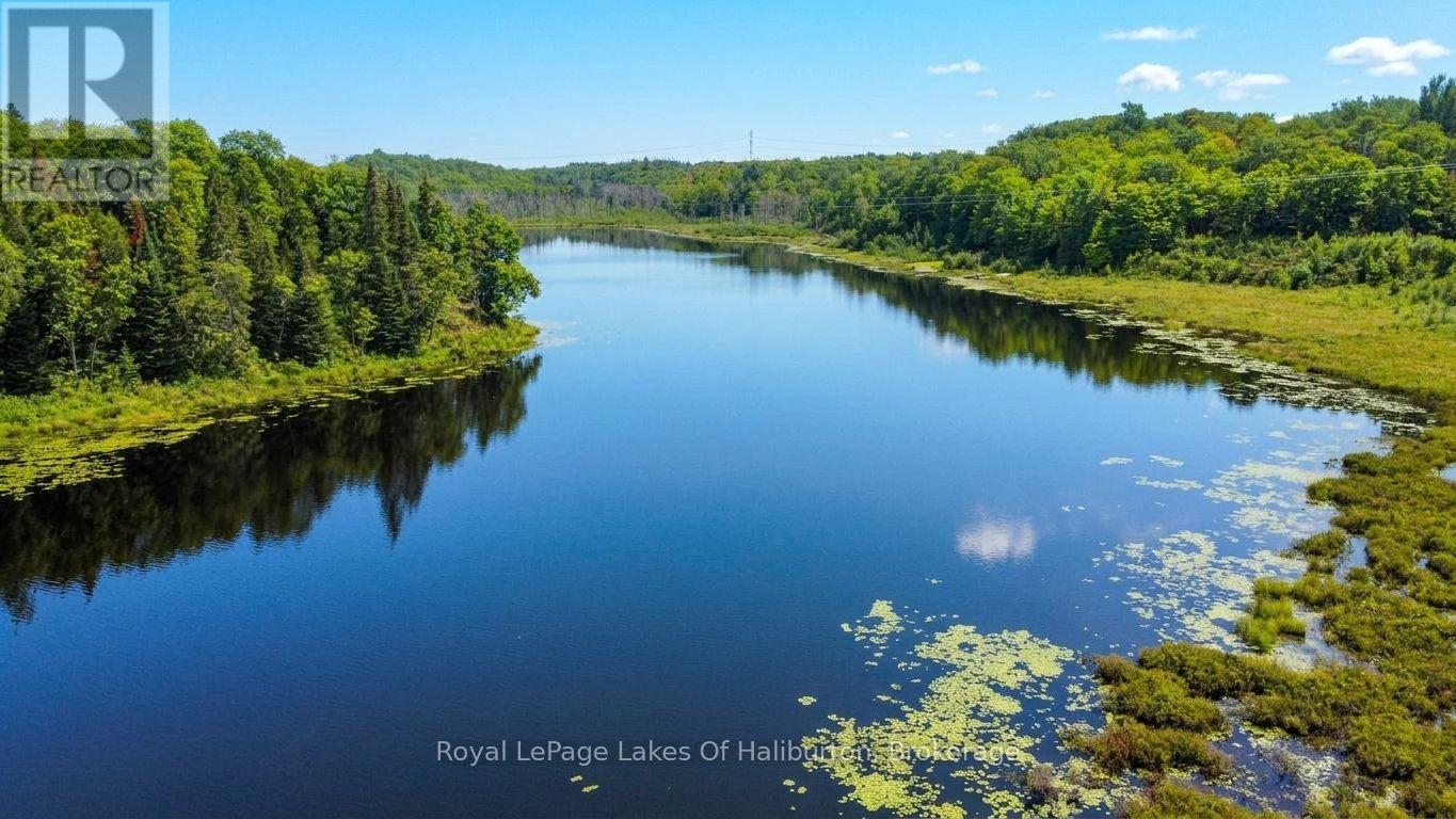 9842 Highway 35, Minden Hills, Ontario  K0M 2L1 - Photo 8 - X13736156