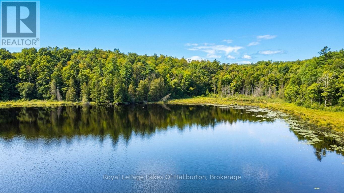 9842 Highway 35, Minden Hills, Ontario  K0M 2L1 - Photo 9 - X13736156