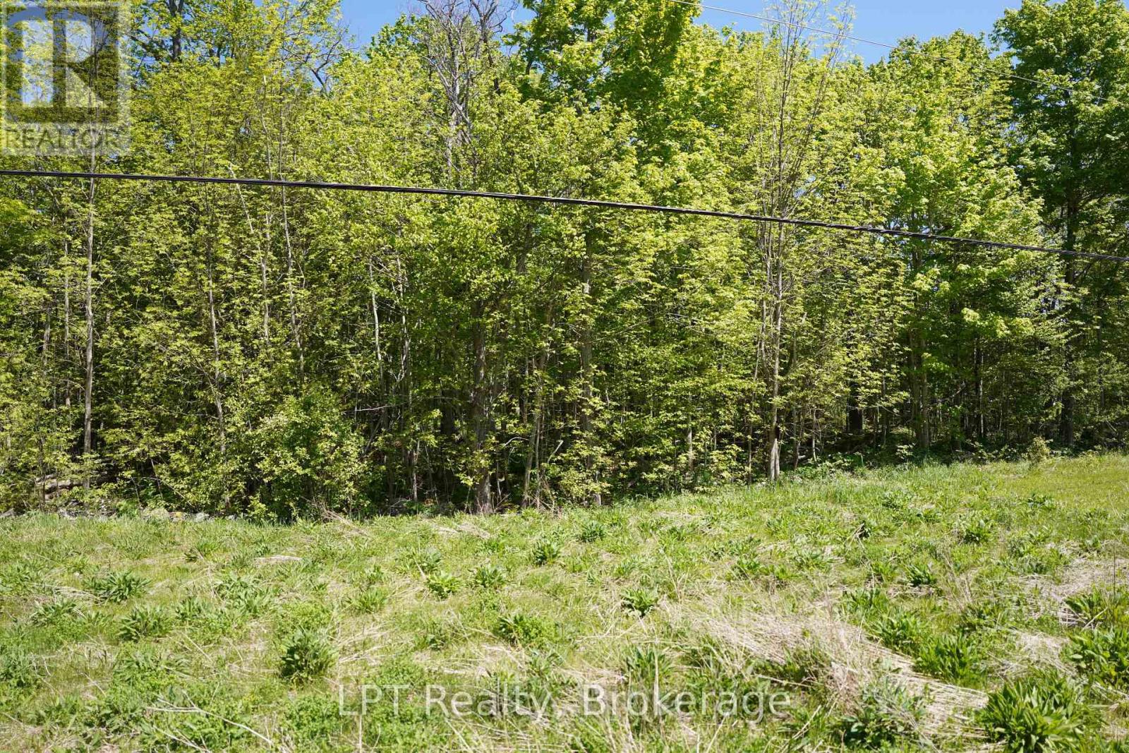 Lot 16 Grey Road 17, Georgian Bluffs, Ontario  N0H 2T0 - Photo 12 - X13736286
