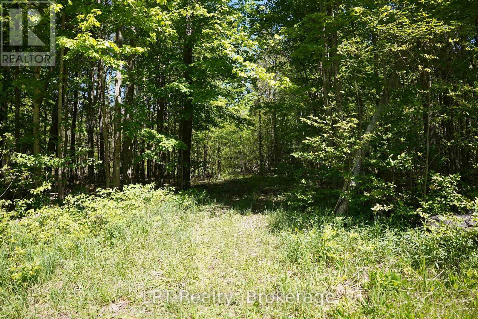 Lot 16 Grey Road 17, Georgian Bluffs, Ontario  N0H 2T0 - Photo 16 - X13736286