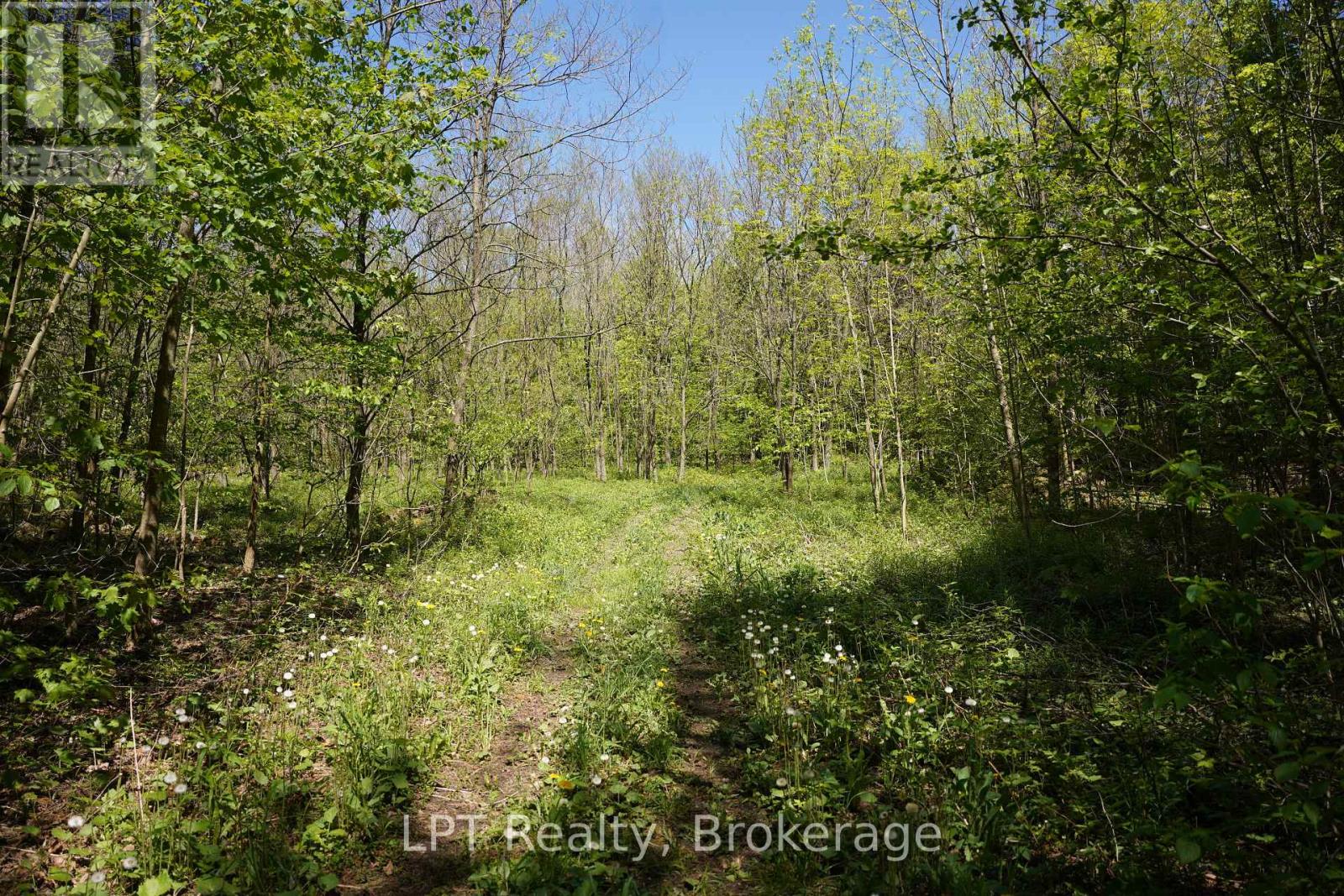Lot 16 Grey Road 17, Georgian Bluffs, Ontario  N0H 2T0 - Photo 6 - X13736286