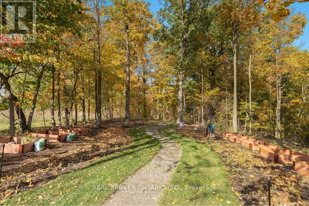 3169 King Street, Lincoln, Ontario  L0R 2C0 - Photo 49 - X13736014