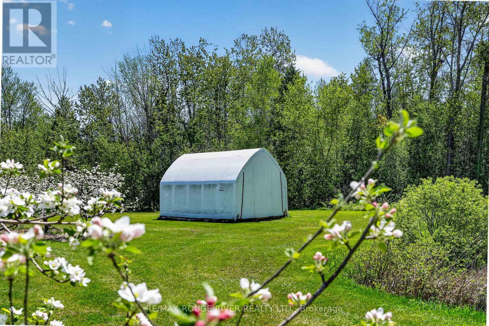 223 Turk Road, Alnwick/haldimand, Ontario  K0K 2G0 - Photo 31 - X13736394