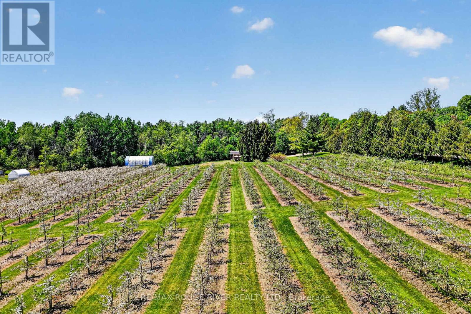 223 Turk Road, Alnwick/haldimand, Ontario  K0K 2G0 - Photo 40 - X13736394
