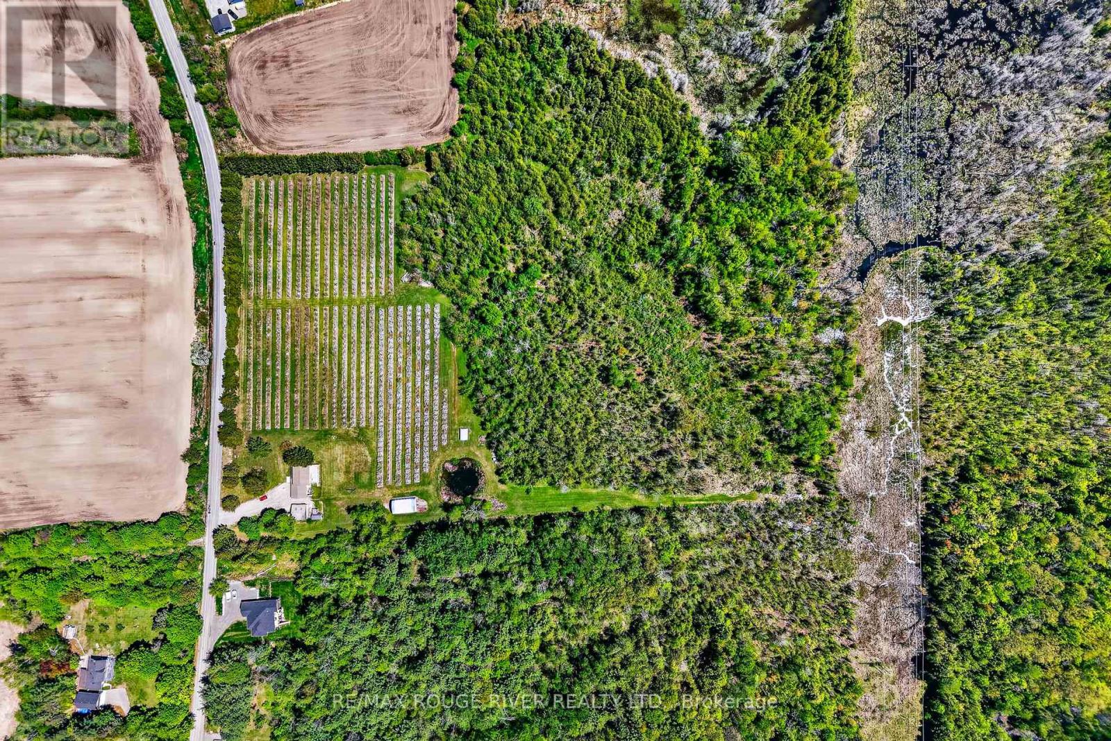 223 Turk Road, Alnwick/haldimand, Ontario  K0K 2G0 - Photo 41 - X13736394